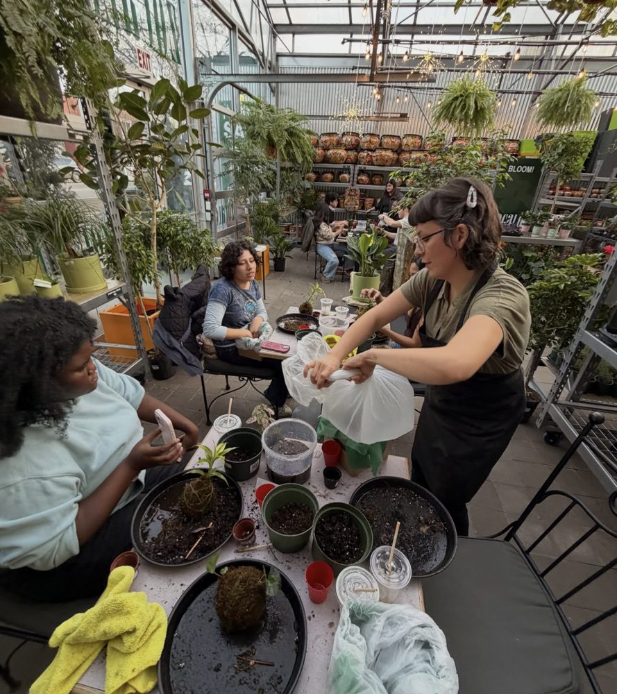 Making kokedama together in the greenhouse